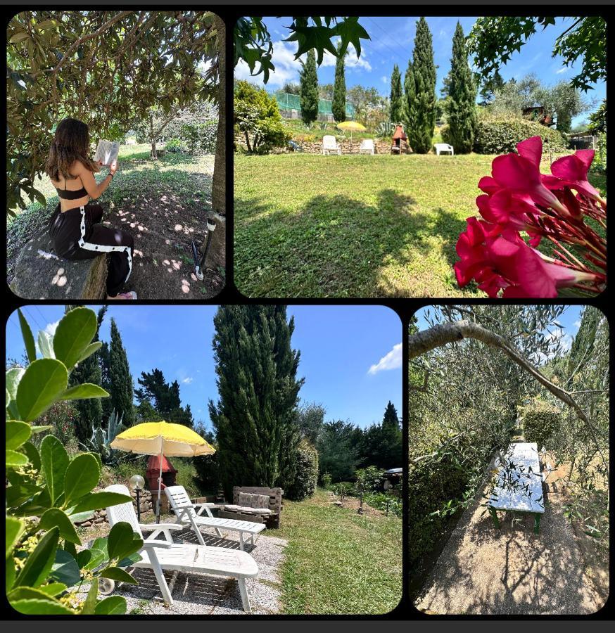 Villa Podere Degli Ulivi Family Serravalle Pistoiese Exterior foto
